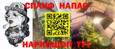 СК Дубна